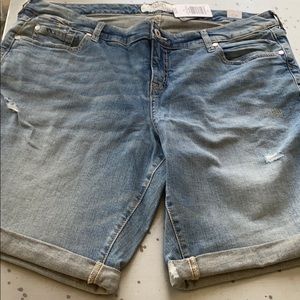 Torrid Jean shorts